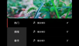 短视频教程,轻松掌握XX技能的实用指南